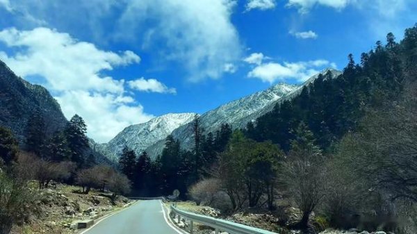 开云体育它大约是在九龙县的西北部-开云(中国)Kaiyun·官方网站