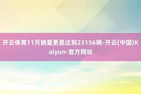 开云体育11月销量更是达到23156辆-开云(中国)Kaiyun·官方网站