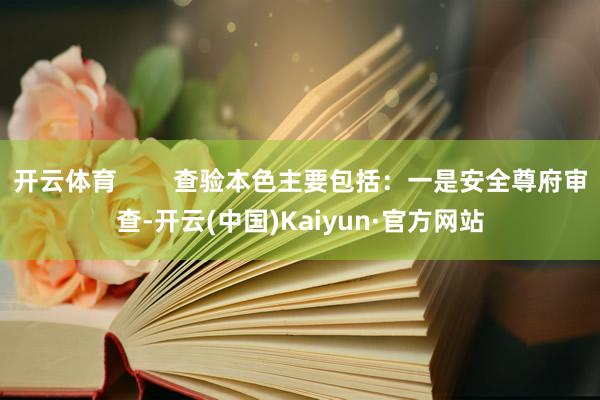 开云体育        查验本色主要包括：一是安全尊府审查-开云(中国)Kaiyun·官方网站