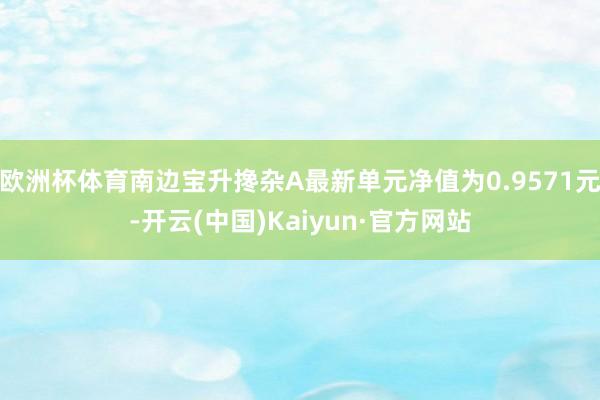 欧洲杯体育南边宝升搀杂A最新单元净值为0.9571元-开云(中国)Kaiyun·官方网站