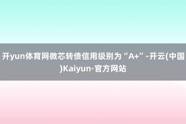 开yun体育网微芯转债信用级别为“A+”-开云(中国)Kaiyun·官方网站