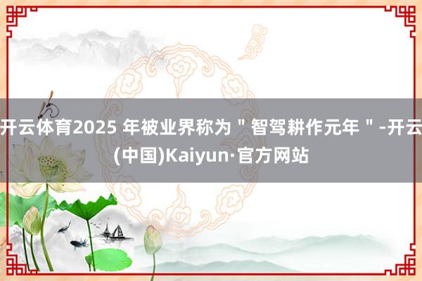 开云体育2025 年被业界称为＂智驾耕作元年＂-开云(中国)Kaiyun·官方网站