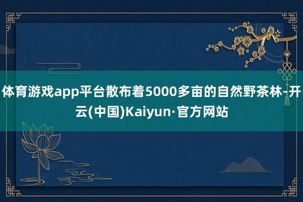 体育游戏app平台散布着5000多亩的自然野茶林-开云(中国)Kaiyun·官方网站