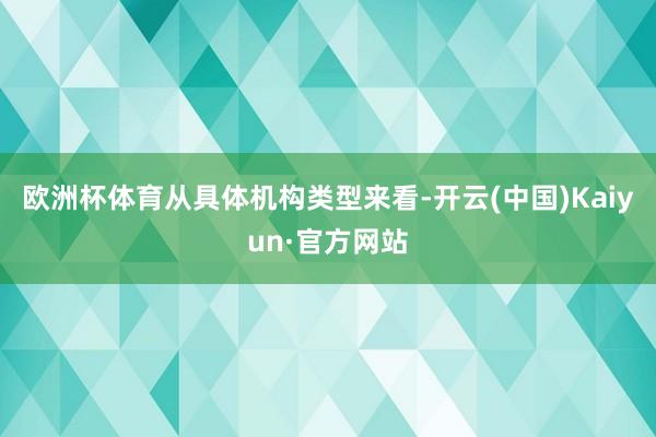 欧洲杯体育　　从具体机构类型来看-开云(中国)Kaiyun·官方网站