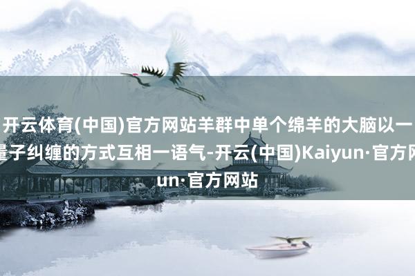 开云体育(中国)官方网站羊群中单个绵羊的大脑以一种量子纠缠的方式互相一语气-开云(中国)Kaiyun·官方网站