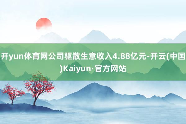 开yun体育网公司驱散生意收入4.88亿元-开云(中国)Kaiyun·官方网站