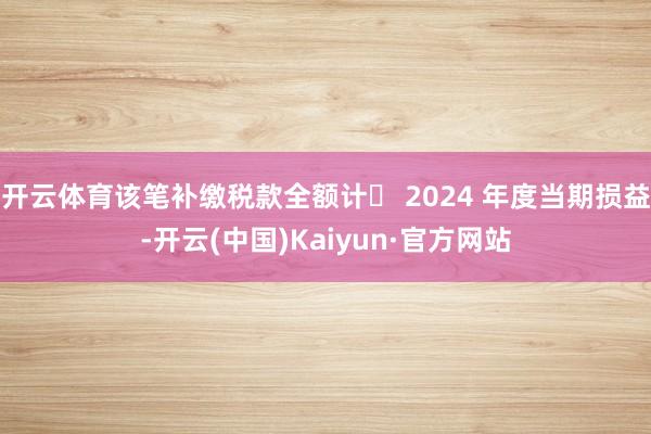 开云体育该笔补缴税款全额计⼊ 2024 年度当期损益-开云(中国)Kaiyun·官方网站