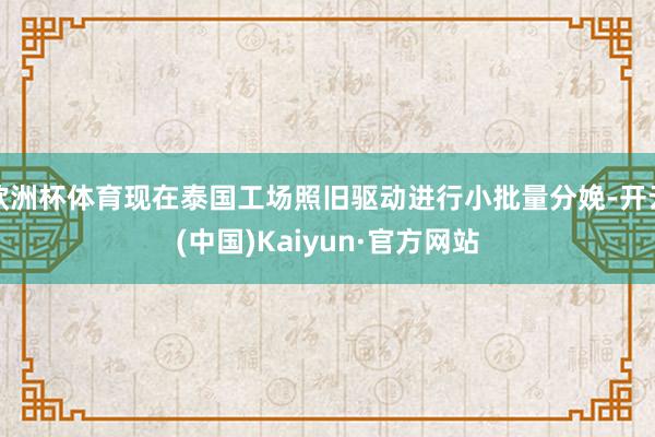 欧洲杯体育现在泰国工场照旧驱动进行小批量分娩-开云(中国)Kaiyun·官方网站