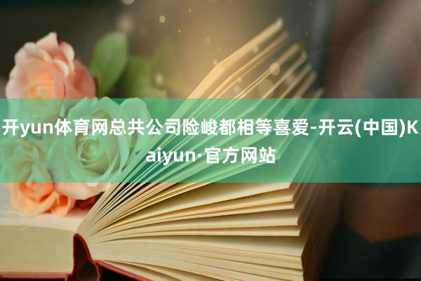 开yun体育网总共公司险峻都相等喜爱-开云(中国)Kaiyun·官方网站