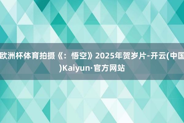 欧洲杯体育拍摄《：悟空》2025年贺岁片-开云(中国)Kaiyun·官方网站