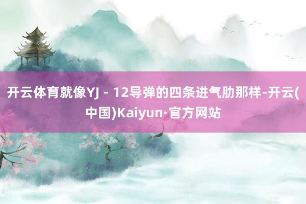 开云体育就像YJ - 12导弹的四条进气肋那样-开云(中国)Kaiyun·官方网站