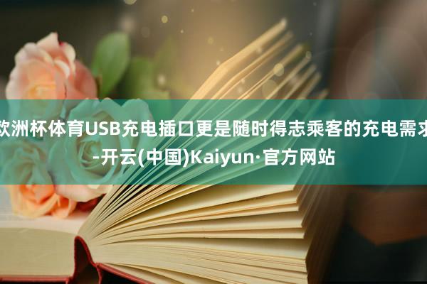欧洲杯体育USB充电插口更是随时得志乘客的充电需求-开云(中国)Kaiyun·官方网站