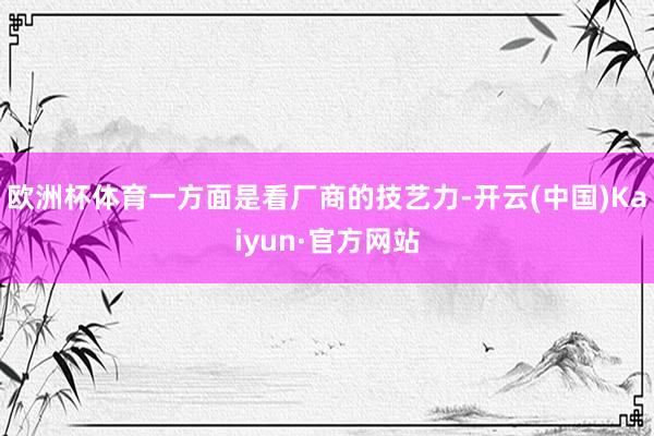 欧洲杯体育一方面是看厂商的技艺力-开云(中国)Kaiyun·官方网站