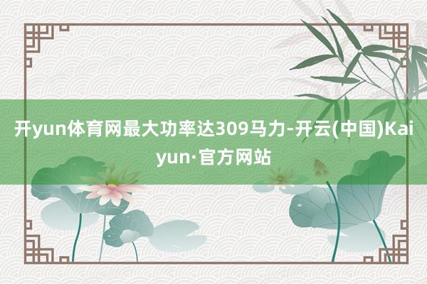 开yun体育网最大功率达309马力-开云(中国)Kaiyun·官方网站