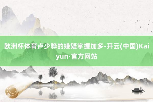 欧洲杯体育卢少骅的嫌疑掌握加多-开云(中国)Kaiyun·官方网站