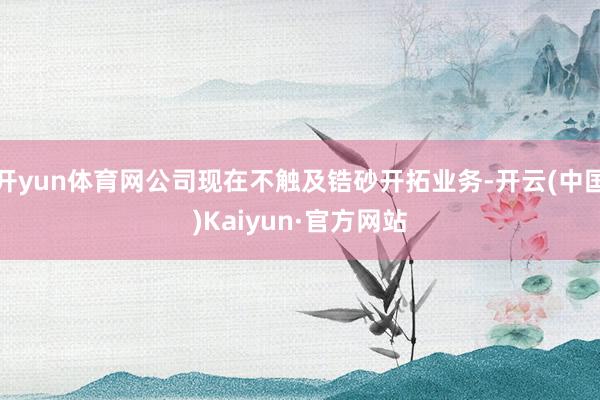 开yun体育网公司现在不触及锆砂开拓业务-开云(中国)Kaiyun·官方网站