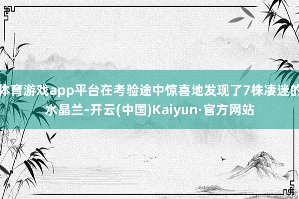 体育游戏app平台在考验途中惊喜地发现了7株凄迷的水晶兰-开云(中国)Kaiyun·官方网站
