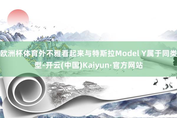 欧洲杯体育外不雅看起来与特斯拉Model Y属于同类型-开云(中国)Kaiyun·官方网站