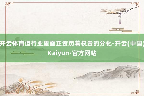 开云体育但行业里面正资历着权贵的分化-开云(中国)Kaiyun·官方网站