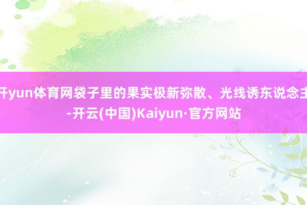 开yun体育网袋子里的果实极新弥散、光线诱东说念主-开云(中国)Kaiyun·官方网站