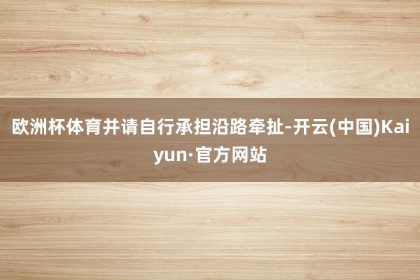 欧洲杯体育并请自行承担沿路牵扯-开云(中国)Kaiyun·官方网站