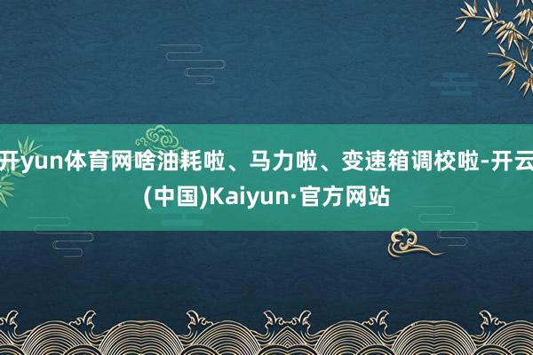 开yun体育网啥油耗啦、马力啦、变速箱调校啦-开云(中国)Kaiyun·官方网站
