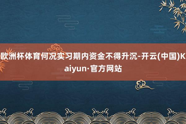 欧洲杯体育何况实习期内资金不得升沉-开云(中国)Kaiyun·官方网站