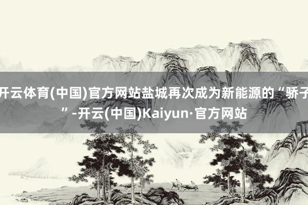 开云体育(中国)官方网站盐城再次成为新能源的“骄子”-开云(中国)Kaiyun·官方网站