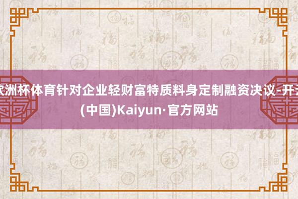 欧洲杯体育针对企业轻财富特质料身定制融资决议-开云(中国)Kaiyun·官方网站