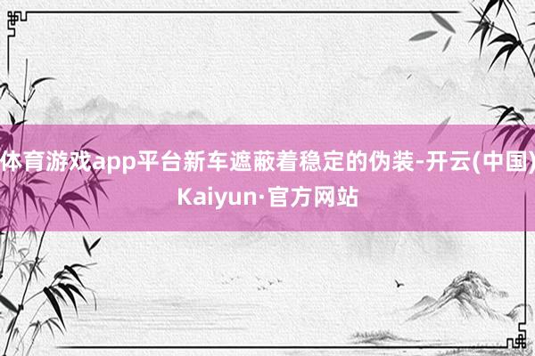 体育游戏app平台新车遮蔽着稳定的伪装-开云(中国)Kaiyun·官方网站