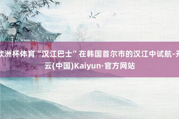 欧洲杯体育“汉江巴士”在韩国首尔市的汉江中试航-开云(中国)Kaiyun·官方网站