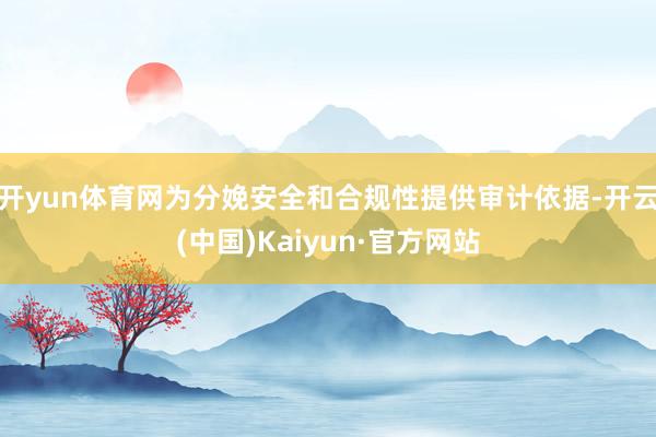 开yun体育网为分娩安全和合规性提供审计依据-开云(中国)Kaiyun·官方网站