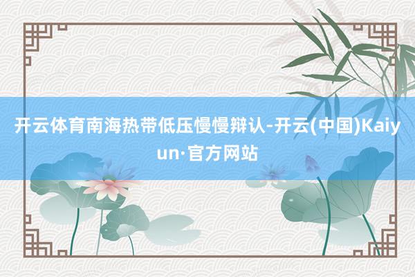 开云体育南海热带低压慢慢辩认-开云(中国)Kaiyun·官方网站