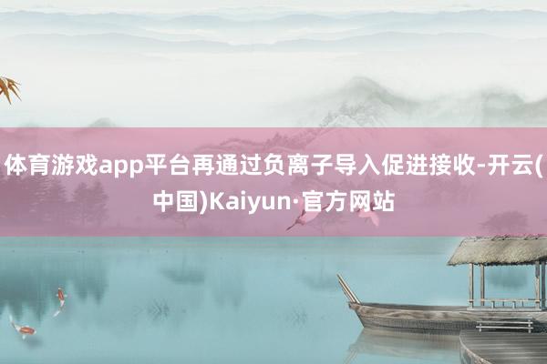 体育游戏app平台再通过负离子导入促进接收-开云(中国)Kaiyun·官方网站
