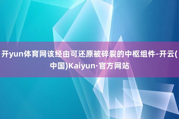 开yun体育网该经由可还原被碎裂的中枢组件-开云(中国)Kaiyun·官方网站