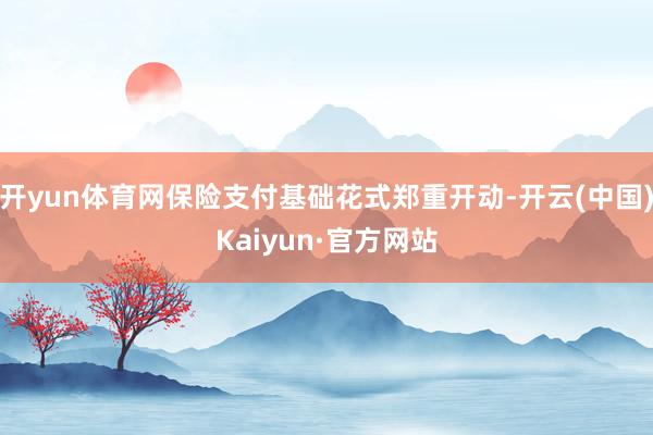 开yun体育网保险支付基础花式郑重开动-开云(中国)Kaiyun·官方网站