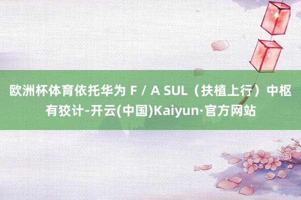 欧洲杯体育依托华为 F / A SUL（扶植上行）中枢有狡计-开云(中国)Kaiyun·官方网站
