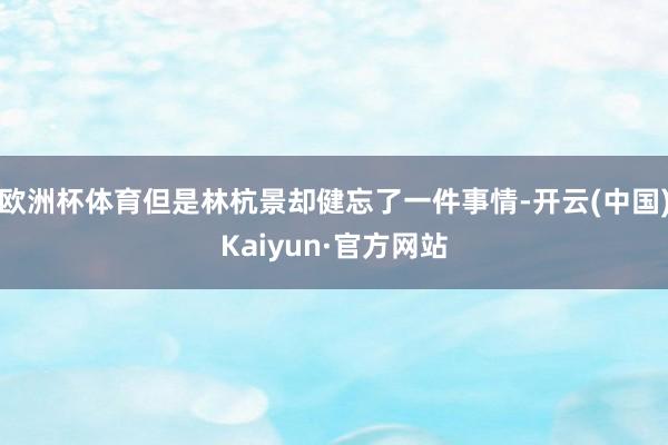 欧洲杯体育但是林杭景却健忘了一件事情-开云(中国)Kaiyun·官方网站