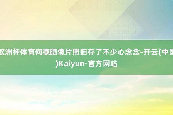 欧洲杯体育何穗晒像片照旧存了不少心念念-开云(中国)Kaiyun·官方网站