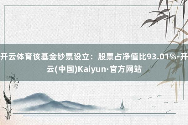 开云体育该基金钞票设立：股票占净值比93.01%-开云(中国)Kaiyun·官方网站
