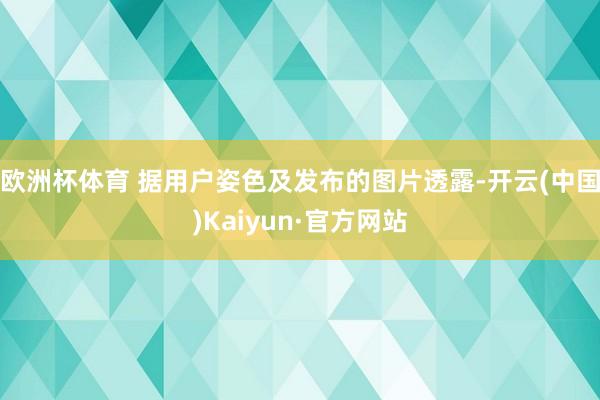 欧洲杯体育 据用户姿色及发布的图片透露-开云(中国)Kaiyun·官方网站