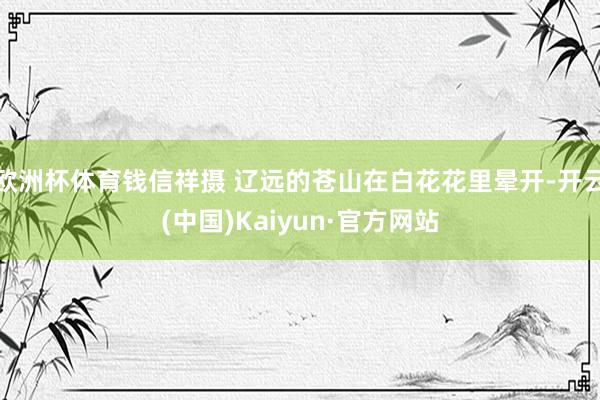 欧洲杯体育钱信祥摄 辽远的苍山在白花花里晕开-开云(中国)Kaiyun·官方网站