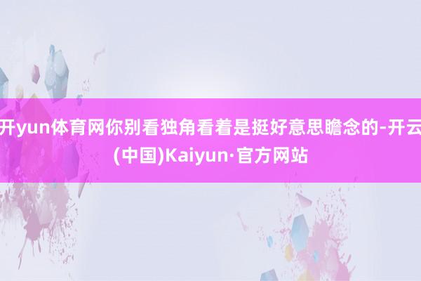 开yun体育网你别看独角看着是挺好意思瞻念的-开云(中国)Kaiyun·官方网站