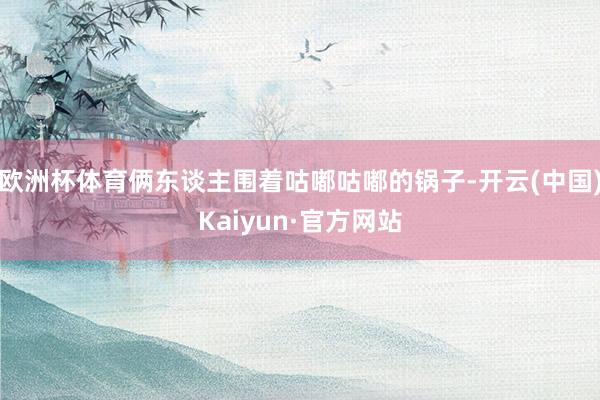 欧洲杯体育俩东谈主围着咕嘟咕嘟的锅子-开云(中国)Kaiyun·官方网站