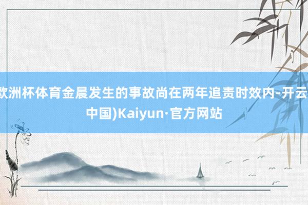 欧洲杯体育金晨发生的事故尚在两年追责时效内-开云(中国)Kaiyun·官方网站