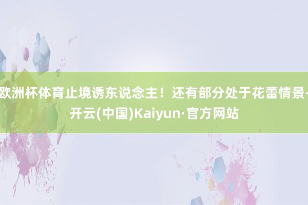 欧洲杯体育止境诱东说念主!还有部分处于花蕾情景-开云(中国)Kaiyun·官方网站