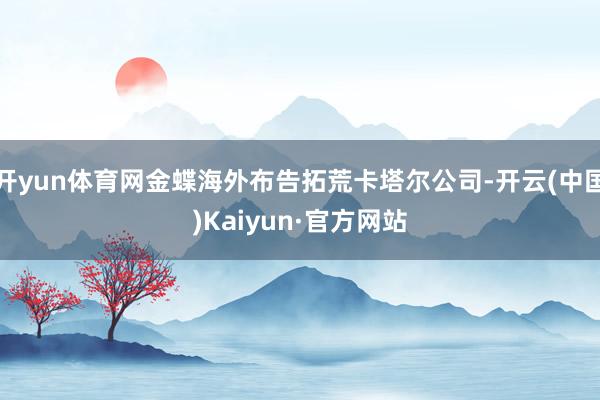 开yun体育网金蝶海外布告拓荒卡塔尔公司-开云(中国)Kaiyun·官方网站