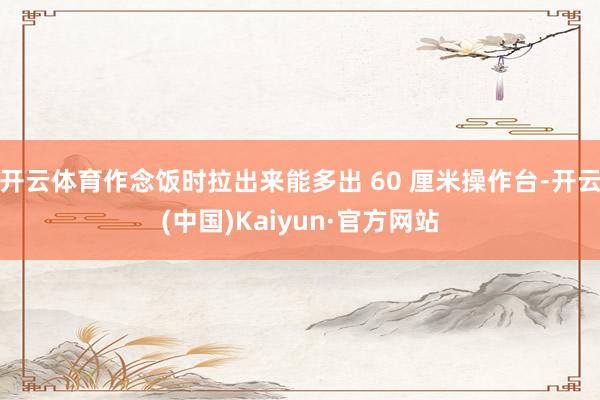 开云体育作念饭时拉出来能多出 60 厘米操作台-开云(中国)Kaiyun·官方网站