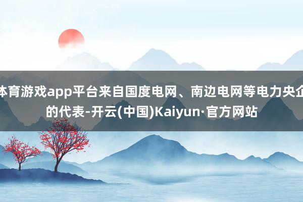 体育游戏app平台来自国度电网、南边电网等电力央企的代表-开云(中国)Kaiyun·官方网站