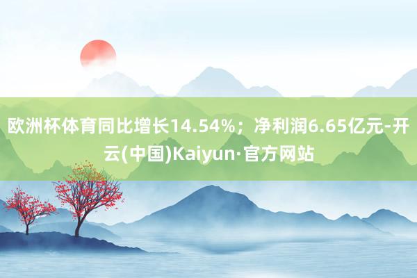 欧洲杯体育同比增长14.54%；净利润6.65亿元-开云(中国)Kaiyun·官方网站